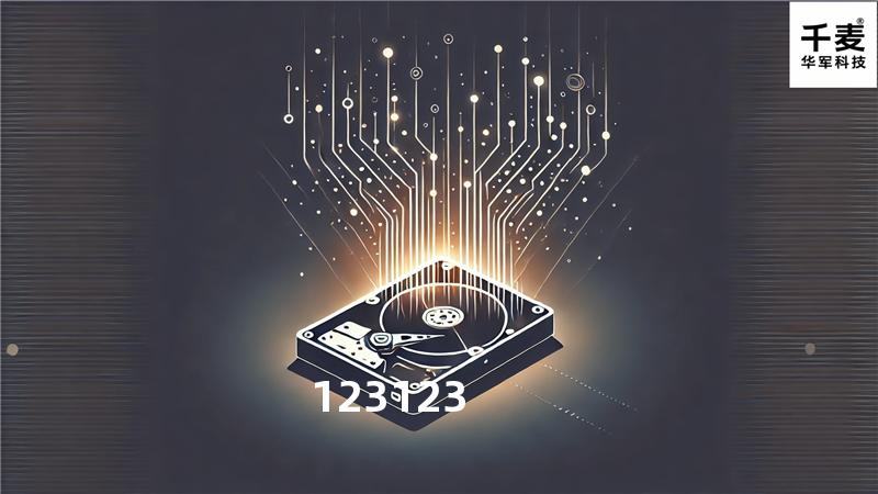 123123