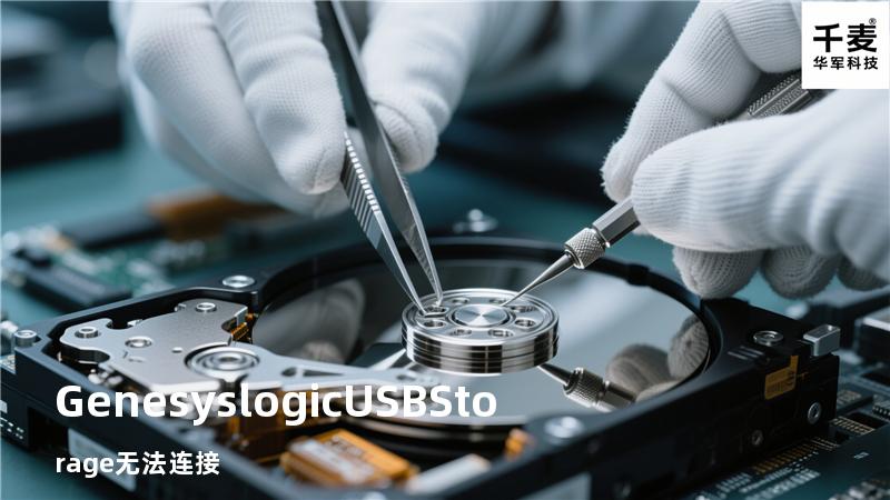 Genesys logic USB Storage无法连接