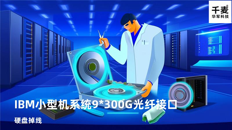 IBM小型机系统 9*300G光纤接口硬盘掉线