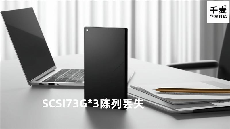 SCSI 73G*3陈列丢失
