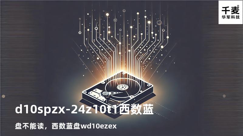 d10spzx-24z10t1西数蓝盘不能读，西数蓝盘wd10ezex