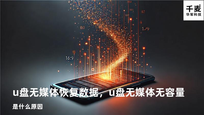 u盘无媒体恢复数据，u盘无媒体无容量是什么原因