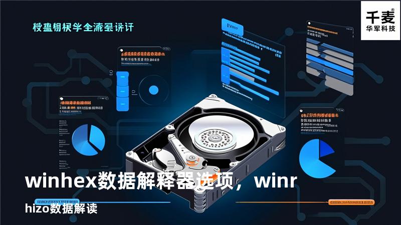 winhex数据解释器选项，winrhizo数据解读