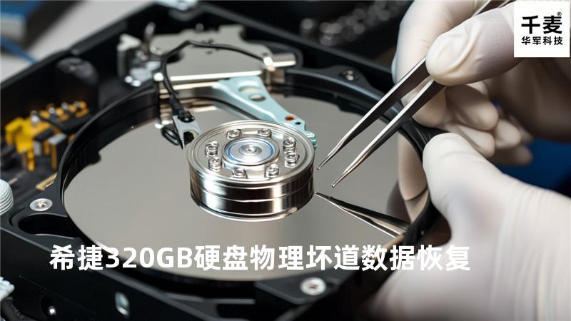 希捷320GB硬盘物理坏道数据恢复