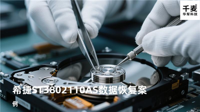 希捷ST3802110AS数据恢复案例