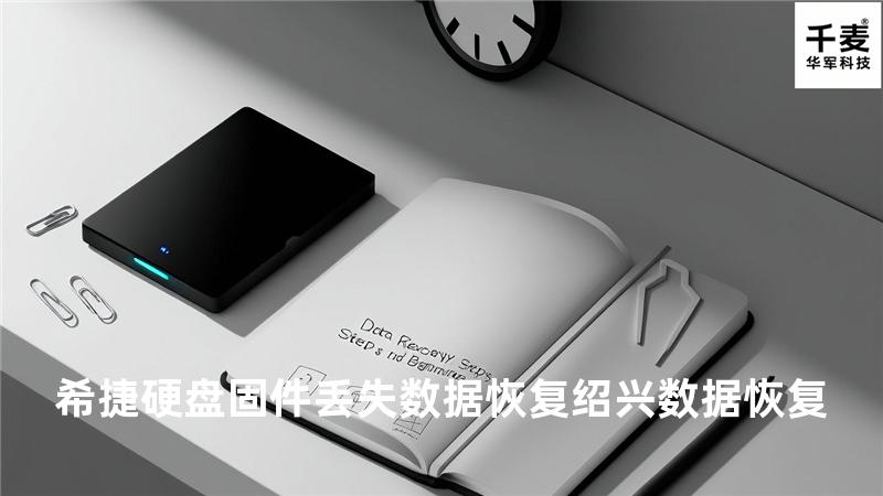 希捷硬盘固件丢失数据恢复 绍兴数据恢复