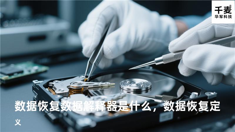 数据恢复数据解释器是什么，数据恢复定义