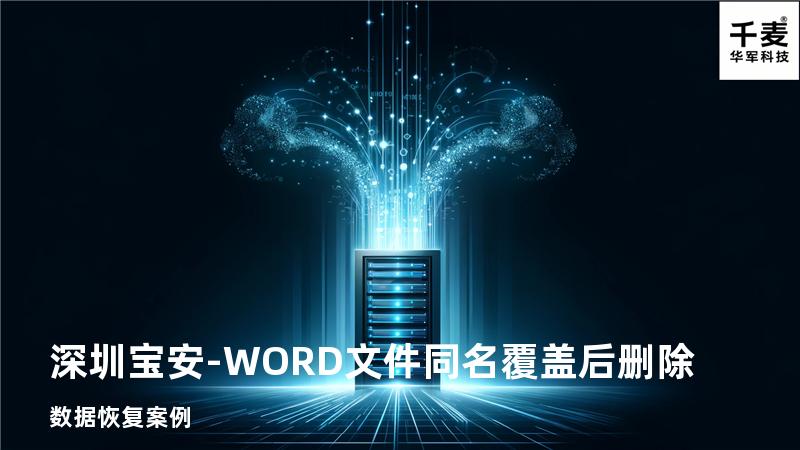 深圳宝安-WORD文件同名覆盖后删除数据恢复案例