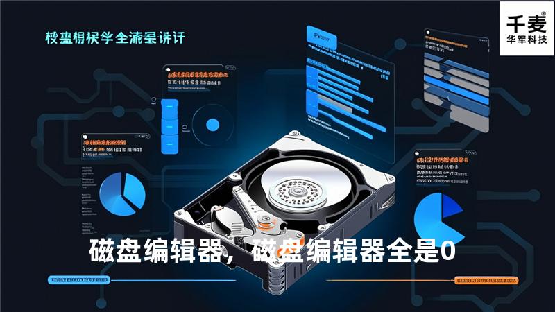 磁盘编辑器，磁盘编辑器全是0