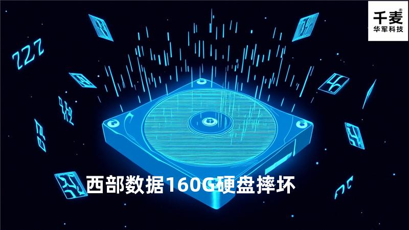西部数据160G硬盘摔坏