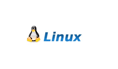 Linux修复,Linux自动检查