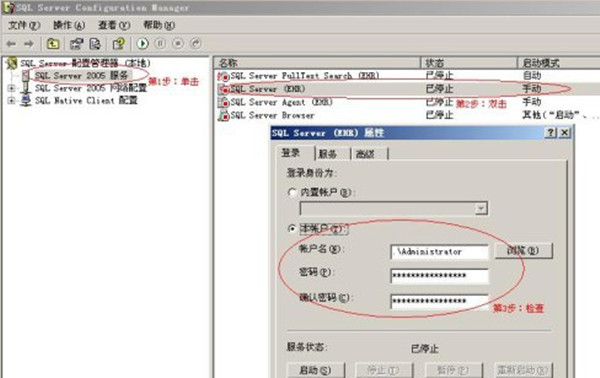 SQL Server 2005