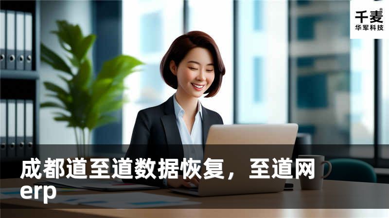 成都道至道数据恢复,至道网erp