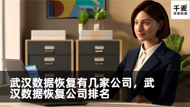 武汉数据恢复有几家公司，武汉数据恢复公司排名