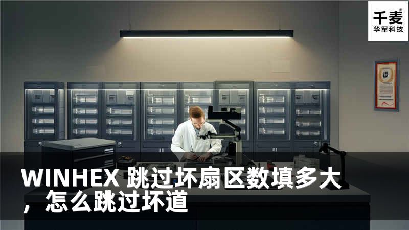 WINHEX 跳过坏扇区数填多大，怎么跳过坏道