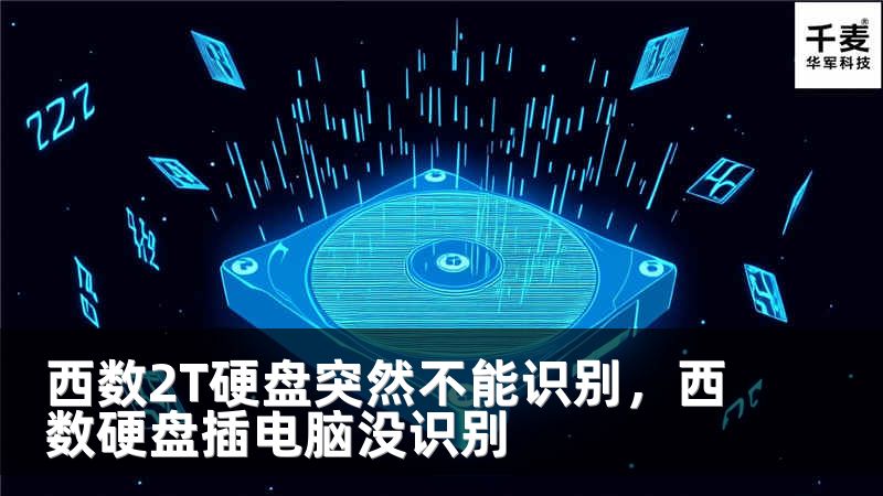 西数2T硬盘突然不能识别，西数硬盘插电脑没识别