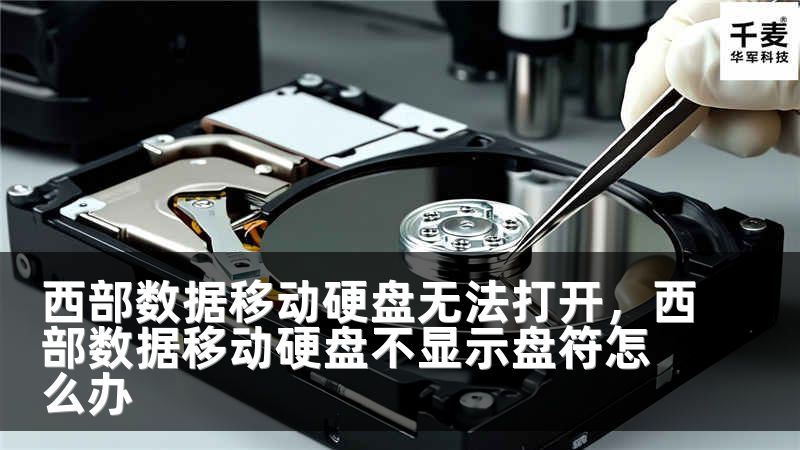 西部数据移动硬盘无法打开，西部数据移动硬盘不显示盘符怎么办