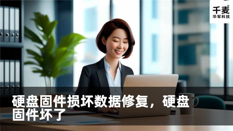 硬盘固件损坏数据修复，硬盘固件坏了