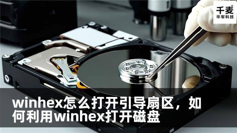 winhex怎么打开引导扇区，如何利用winhex打开磁盘