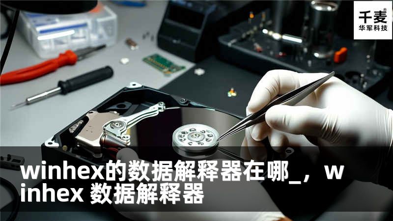 winhex的数据解释器在哪_，winhex 数据解释器