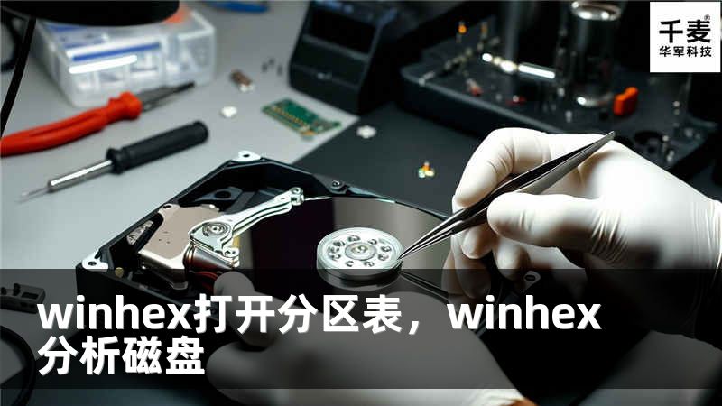 winhex打开分区表，winhex分析磁盘