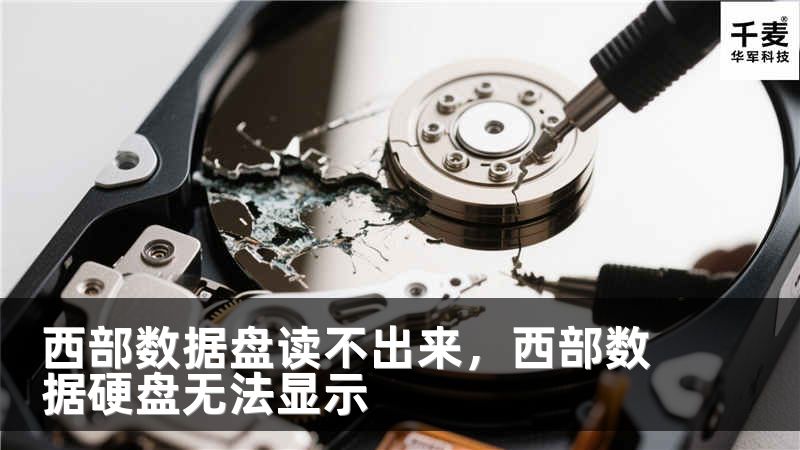 西部数据盘读不出来，西部数据硬盘无法显示