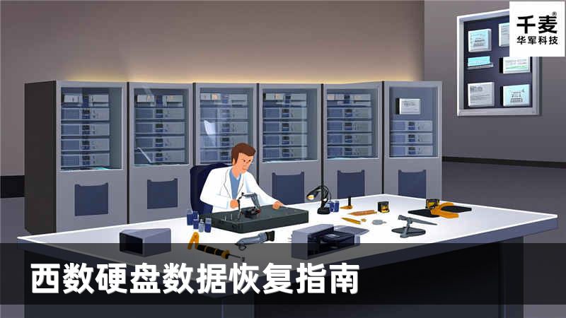 西数硬盘数据恢复指南