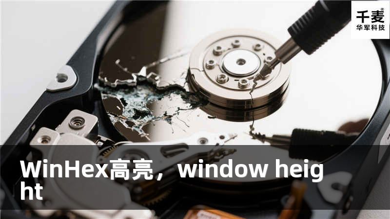 WinHex高亮，window height