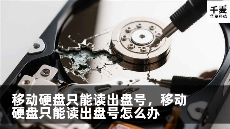 移动硬盘只能读出盘号，移动硬盘只能读出盘号怎么办