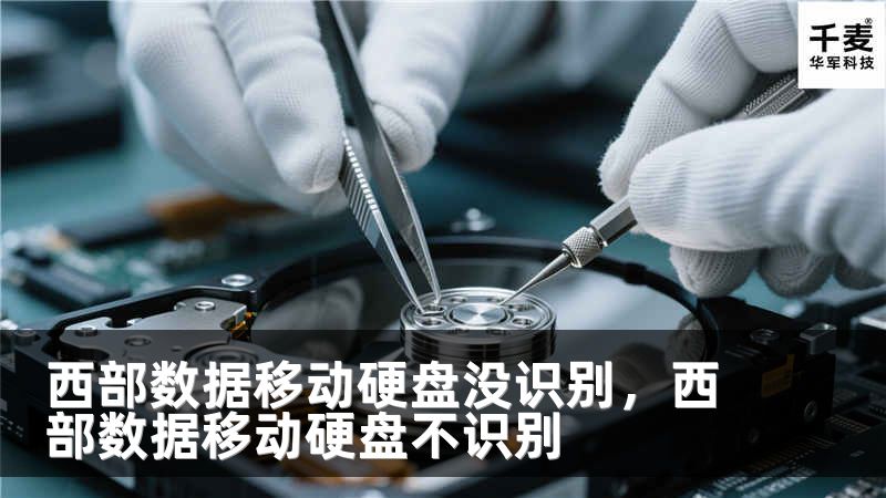 西部数据移动硬盘没识别，西部数据移动硬盘不识别