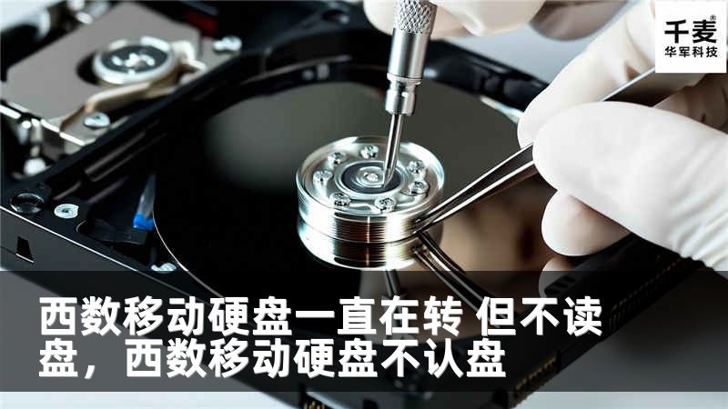 西数移动硬盘一直在转 但不读盘，西数移动硬盘不认盘