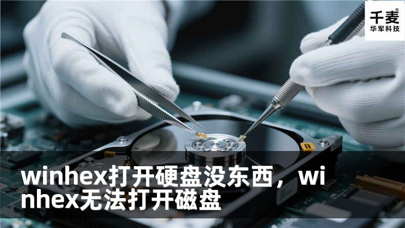 winhex打开硬盘没东西，winhex无法打开磁盘