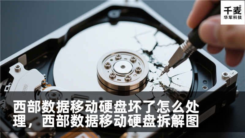西部数据移动硬盘坏了怎么处理，西部数据移动硬盘拆解图