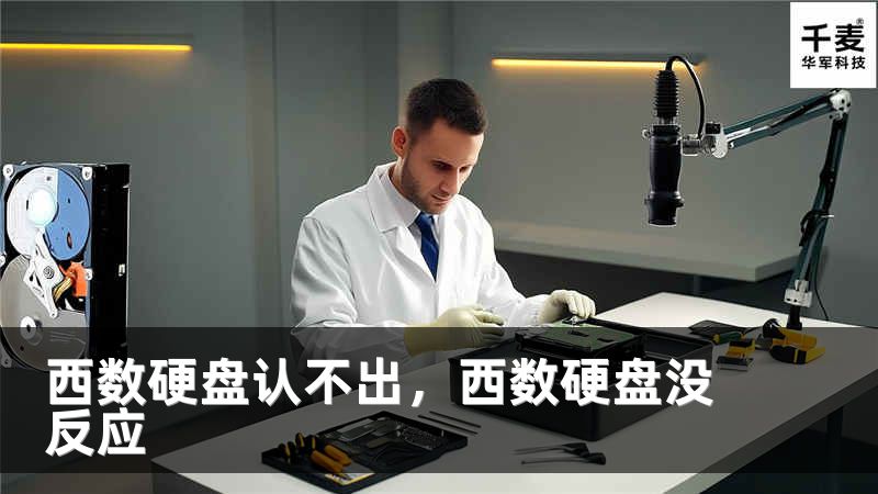 西数硬盘认不出，西数硬盘没反应
