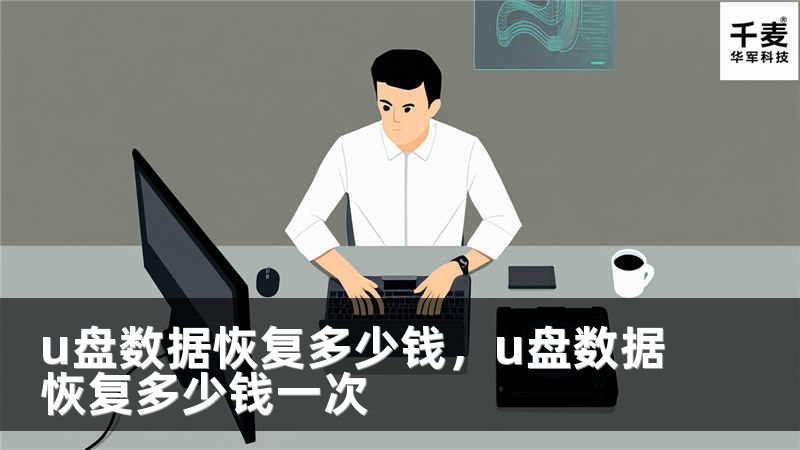 u盘数据恢复多少钱，u盘数据恢复多少钱一次