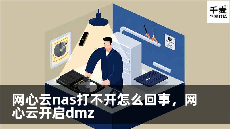 网心云nas打不开怎么回事，网心云开启dmz