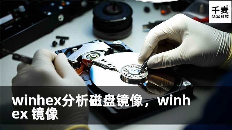 winhex分析磁盘镜像，winhex 镜像