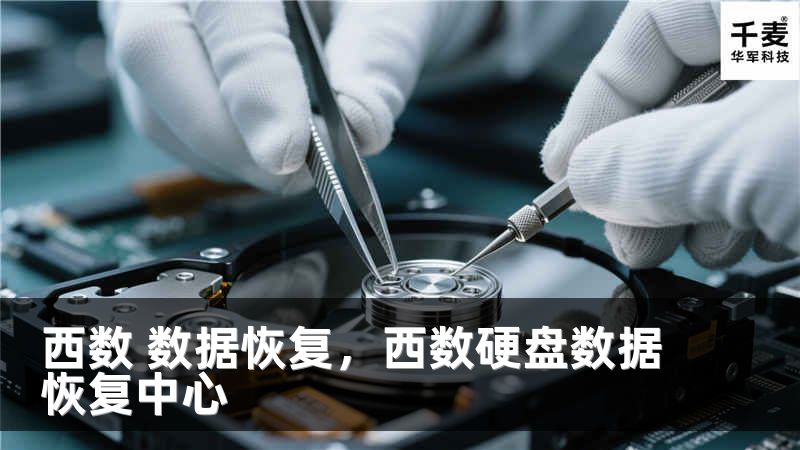 西数 数据恢复，西数硬盘数据恢复中心