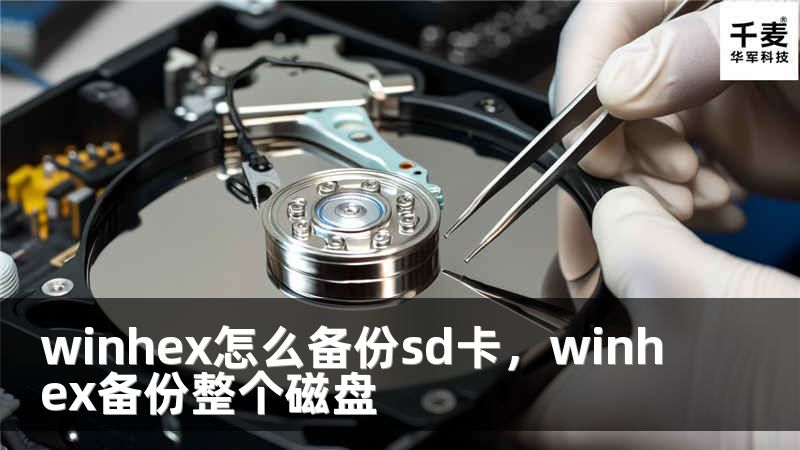 winhex怎么备份sd卡，winhex备份整个磁盘