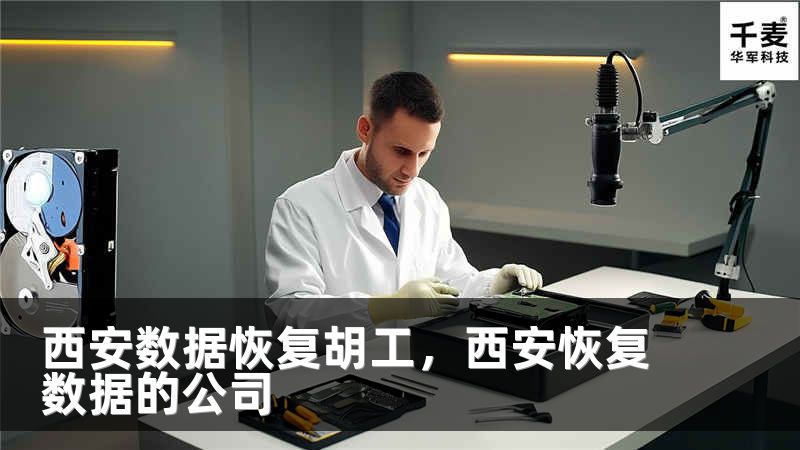 西安数据恢复胡工，西安恢复数据的公司