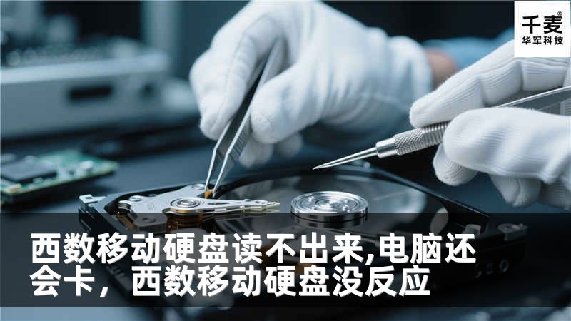 西数移动硬盘读不出来,电脑还会卡，西数移动硬盘没反应