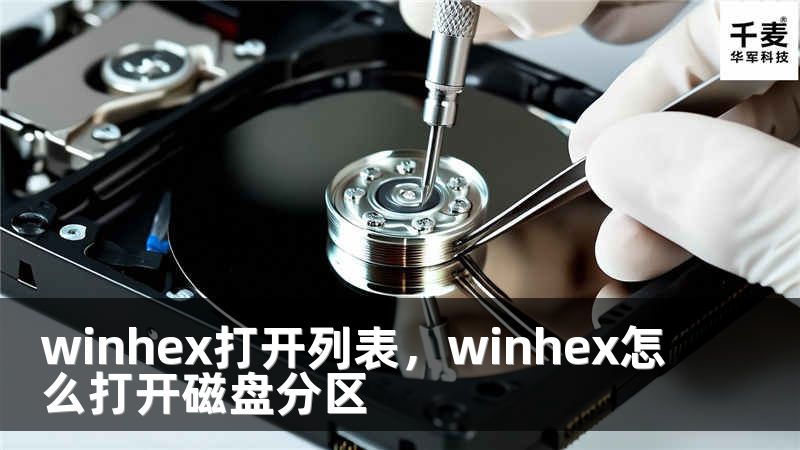 winhex打开列表，winhex怎么打开磁盘分区