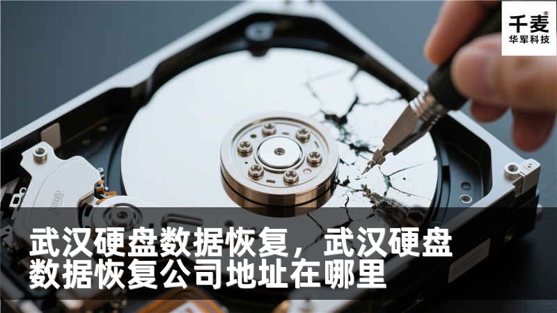 武汉硬盘数据恢复，武汉硬盘数据恢复公司地址在哪里