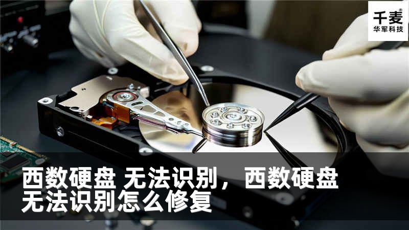 西数硬盘 无法识别，西数硬盘无法识别怎么修复