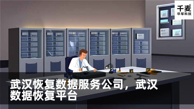 武汉恢复数据服务公司，武汉数据恢复平台