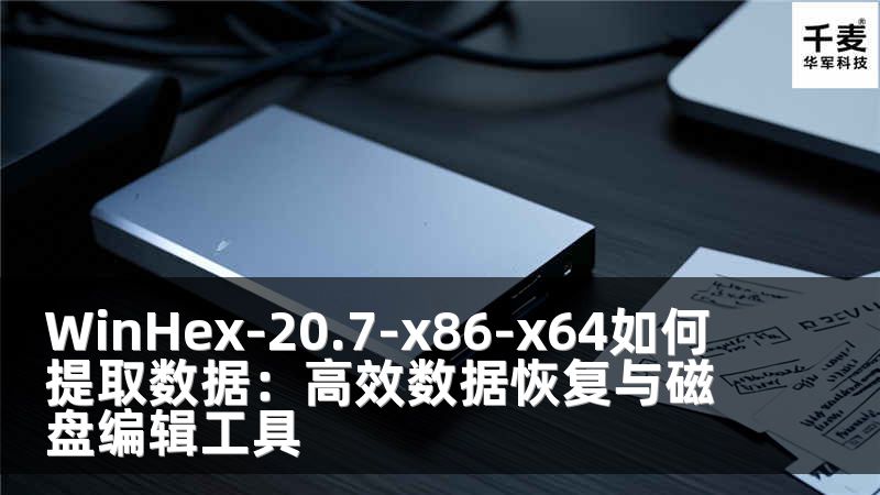 WinHex-20.7-x86-x64如何提取数据：高效数据恢复与磁盘编辑工具