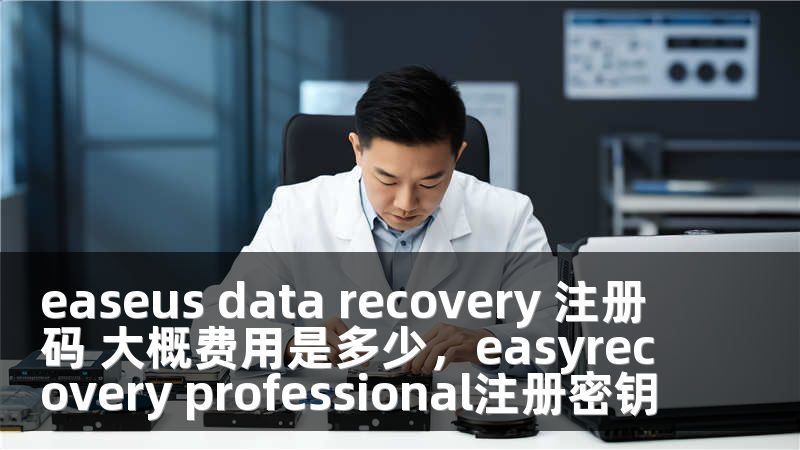 easeus data recovery 注册码 大概费用是多少，easyrecovery professional注册密钥