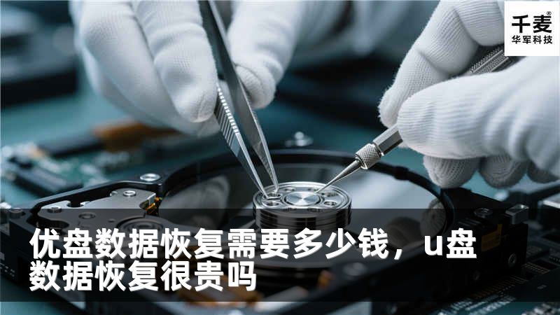 优盘数据恢复需要多少钱，u盘数据恢复很贵吗