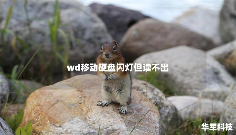 wd移动硬盘闪灯但读不出
