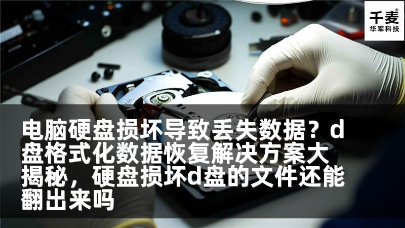 电脑硬盘损坏导致丢失数据？d盘格式化数据恢复解决方案大揭秘，硬盘损坏d盘的文件还能翻出来吗